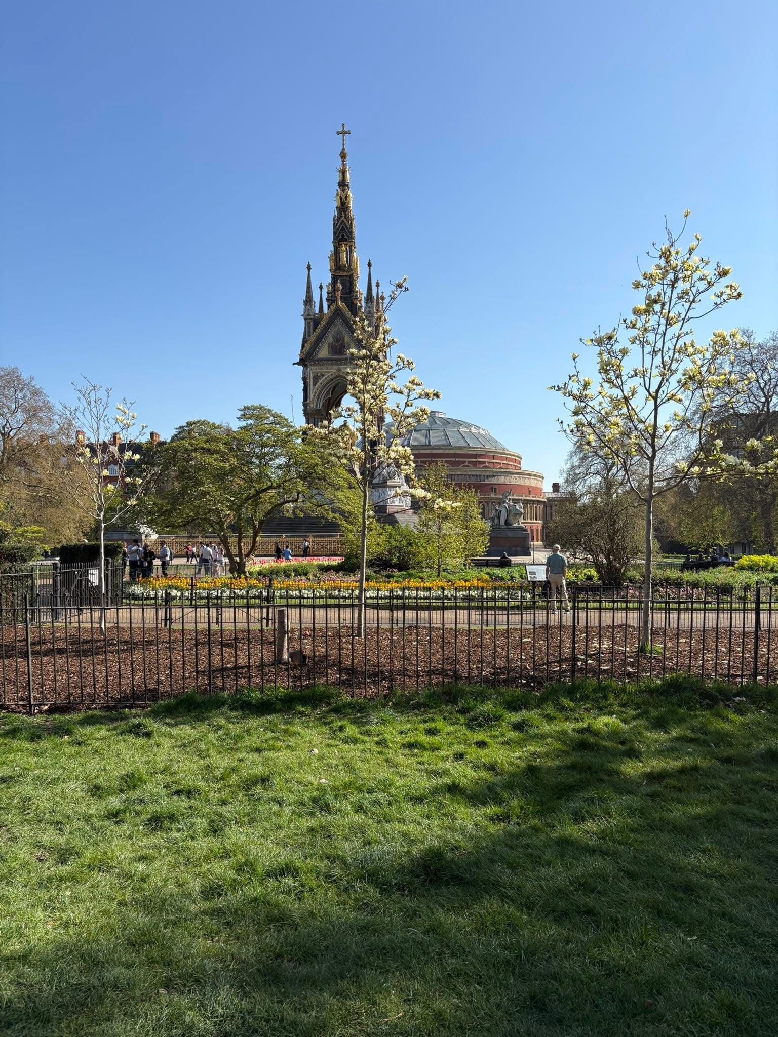 WhatsApp Image 2025-05-07 at 10.17.22_71cd21ae